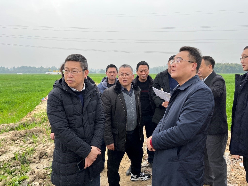 省社、省供投集團(tuán)領(lǐng)導(dǎo)調(diào)研青白江區(qū)四川現(xiàn)代供銷種業(yè)園區(qū)