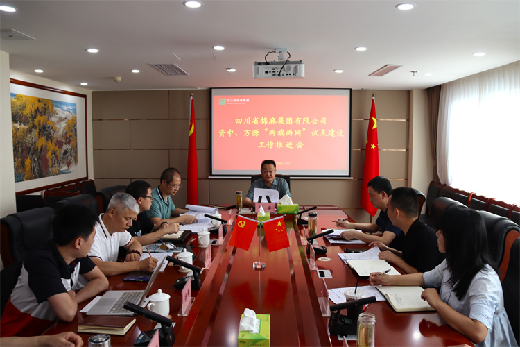鄧華主持召開資中、萬源“兩端兩網(wǎng)”試點(diǎn)建設(shè)工作推進(jìn)會(huì)