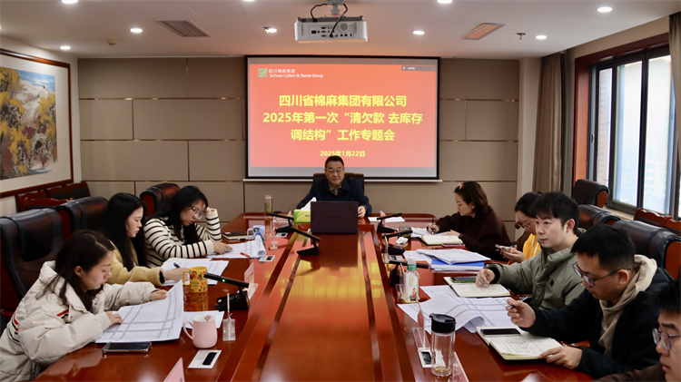 集團(tuán)公司召開2025年第一次“清欠款、去庫存、調(diào)結(jié)構(gòu)”工作專題會