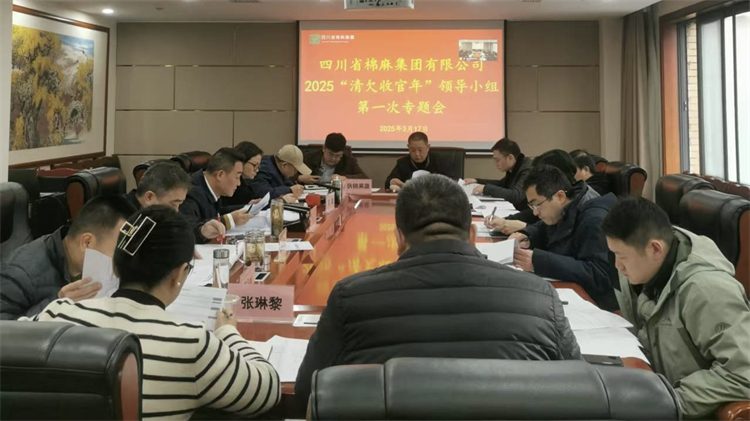 集團(tuán)公司召開(kāi)2025“清欠收官年”領(lǐng)導(dǎo)小組第一次專題會(huì)